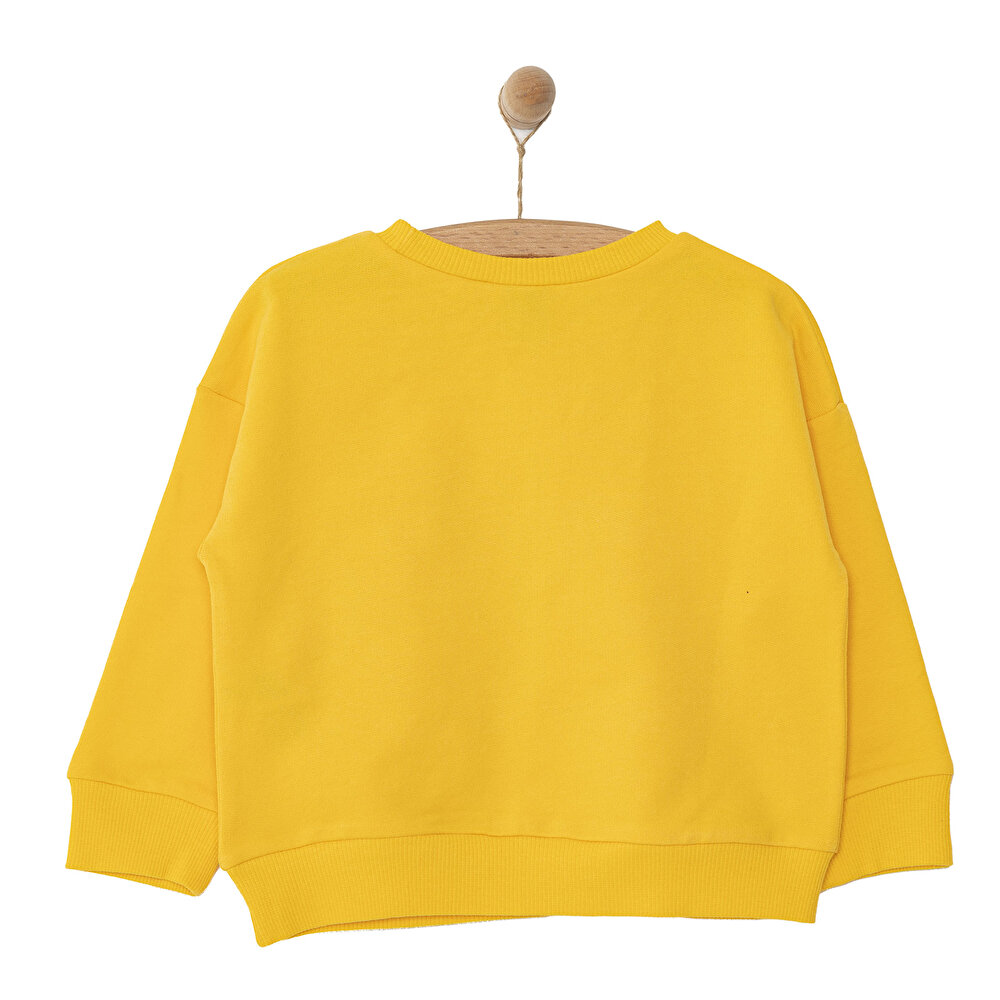 Mickey Mouse Erkek Sweatshirt Erkek Bebek