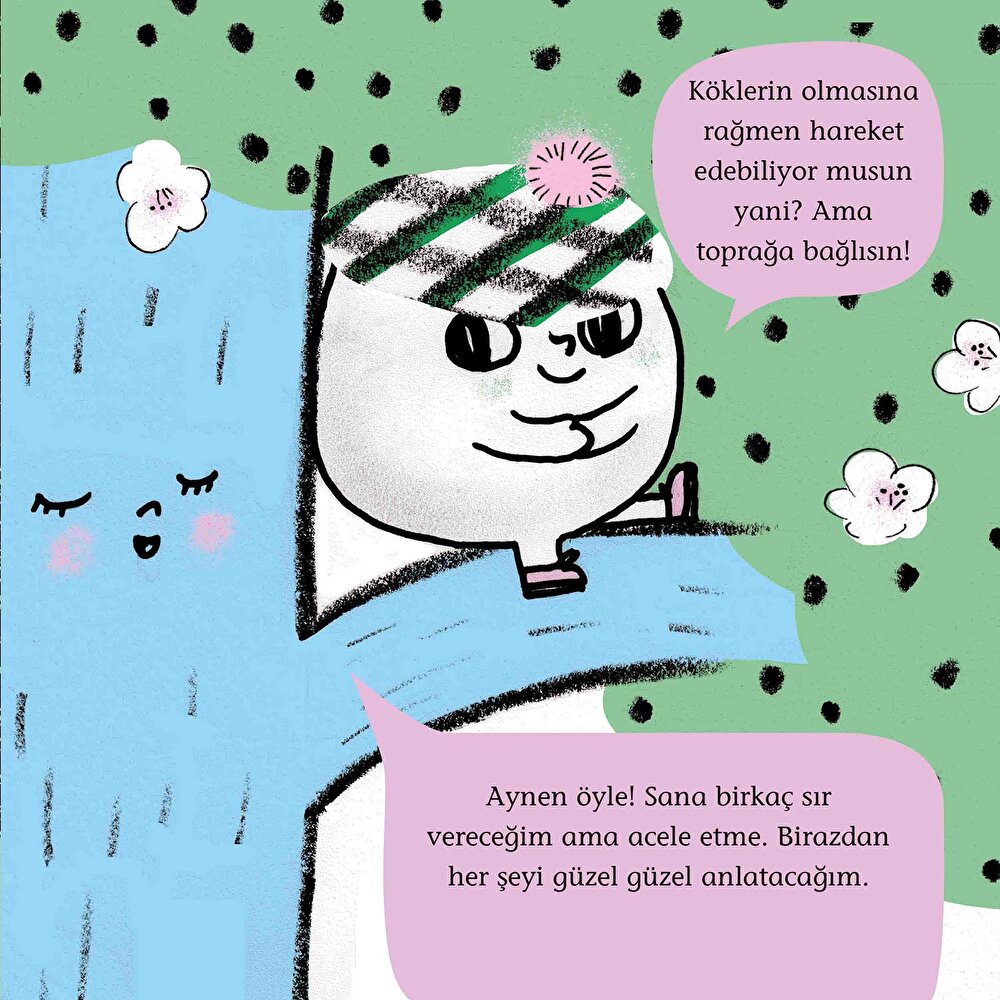 Mini Bilim 3: Bitkilerin Dünyasına Yolculuk