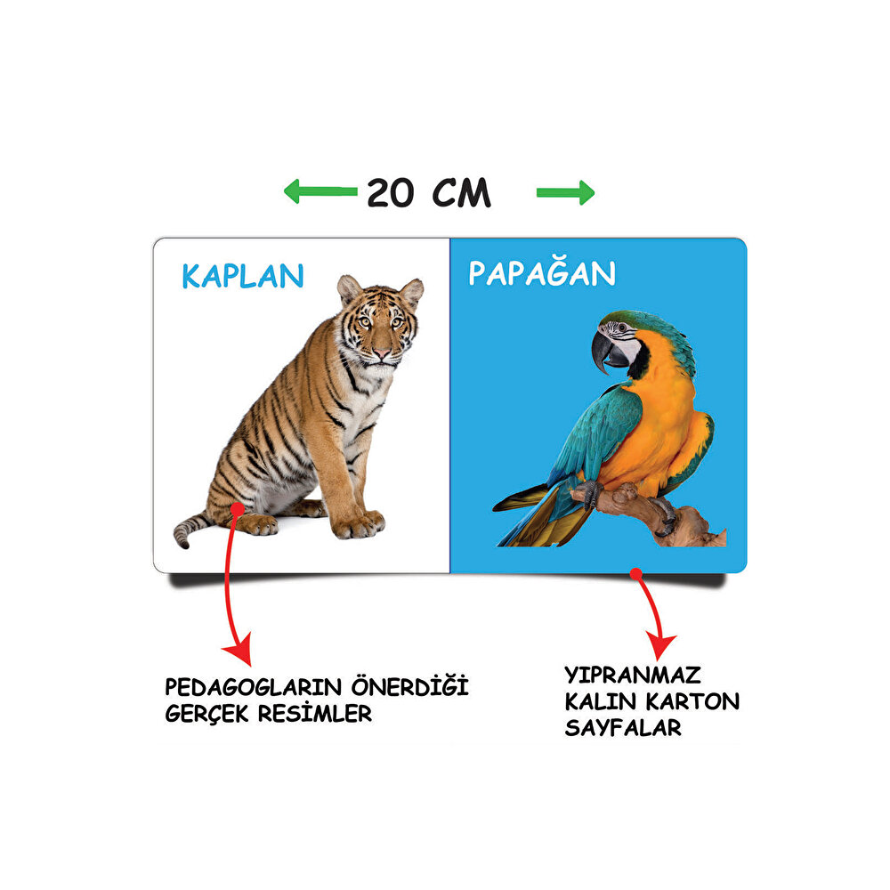 Minik Kitaplar İlk Kütüphanem - İlk Hayvanlar