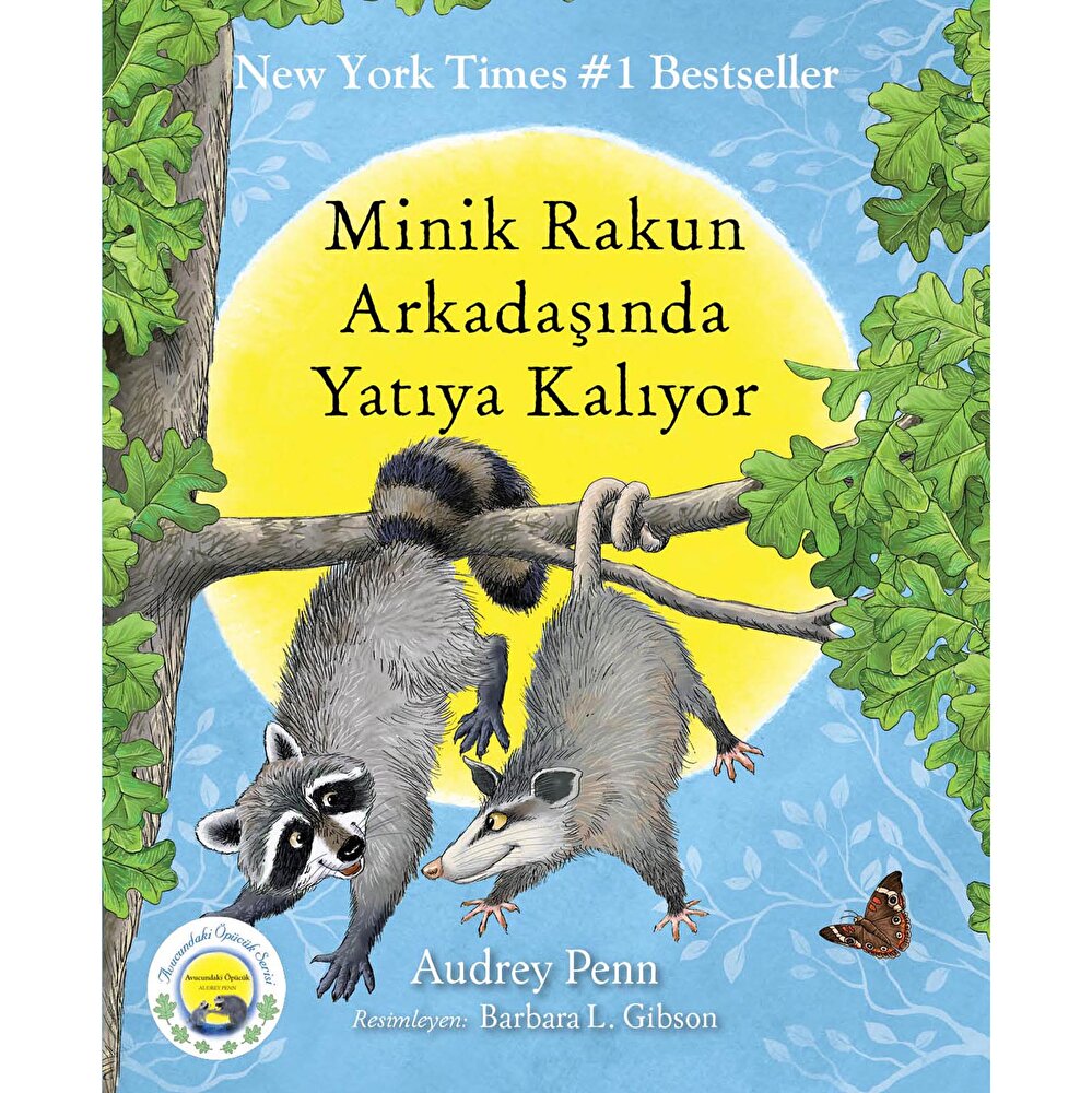Minik Rakun Arkadaşında Yatıya Kalıyor