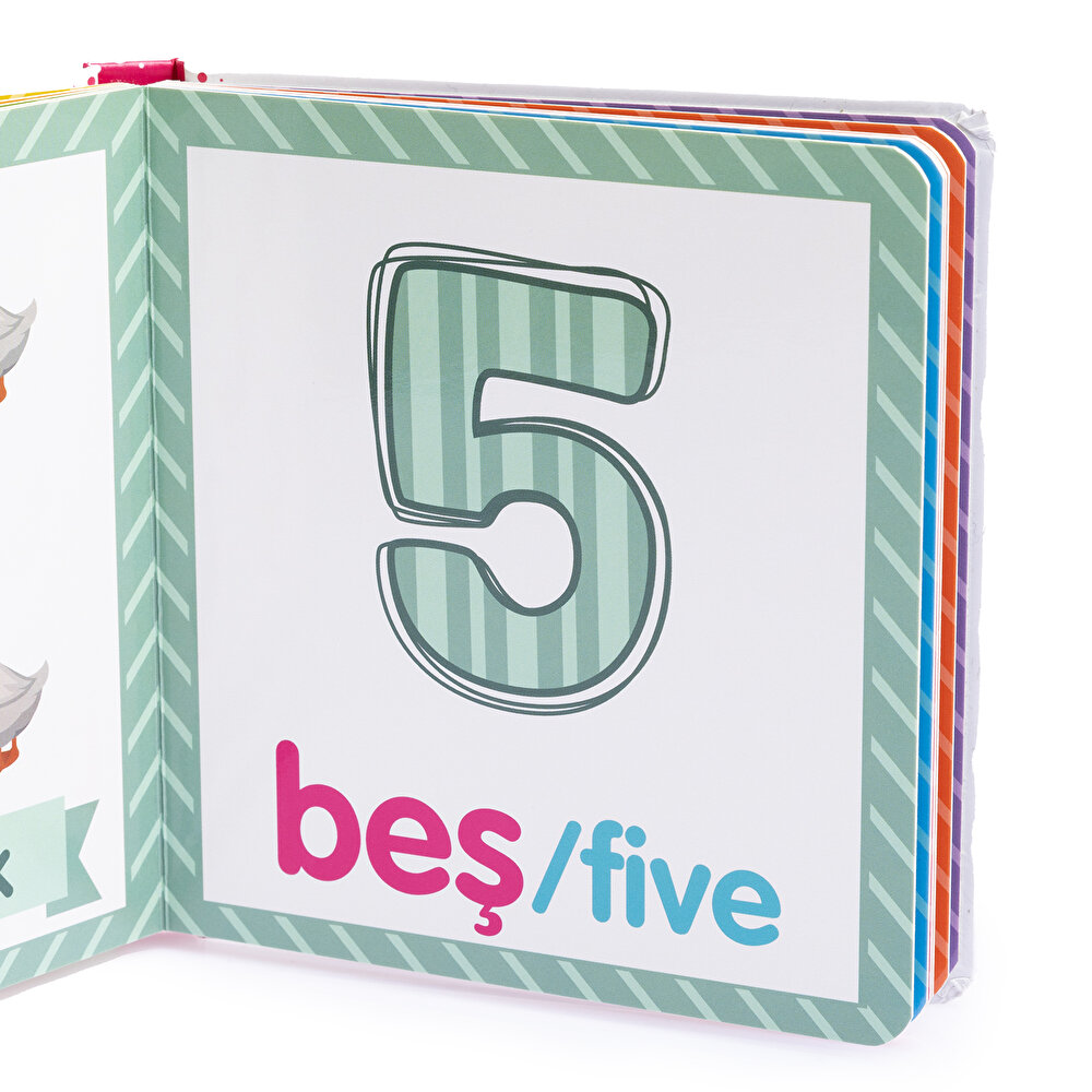 Minnak Serisi Sayılar Kitabı