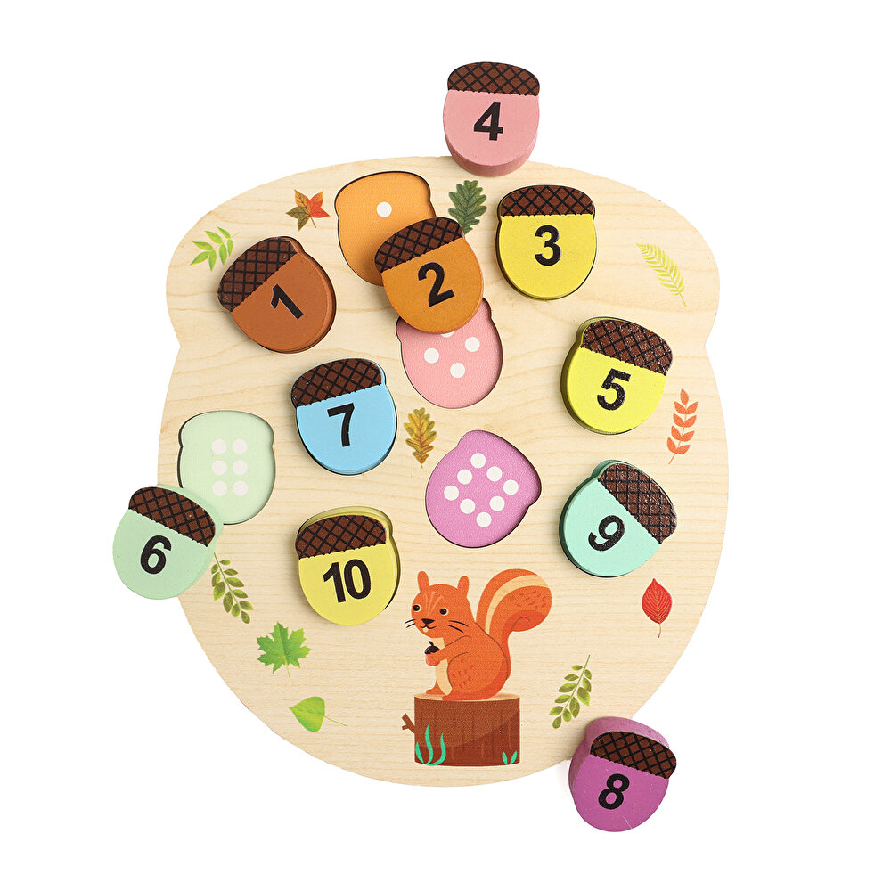 Montessori Sincap Takımı