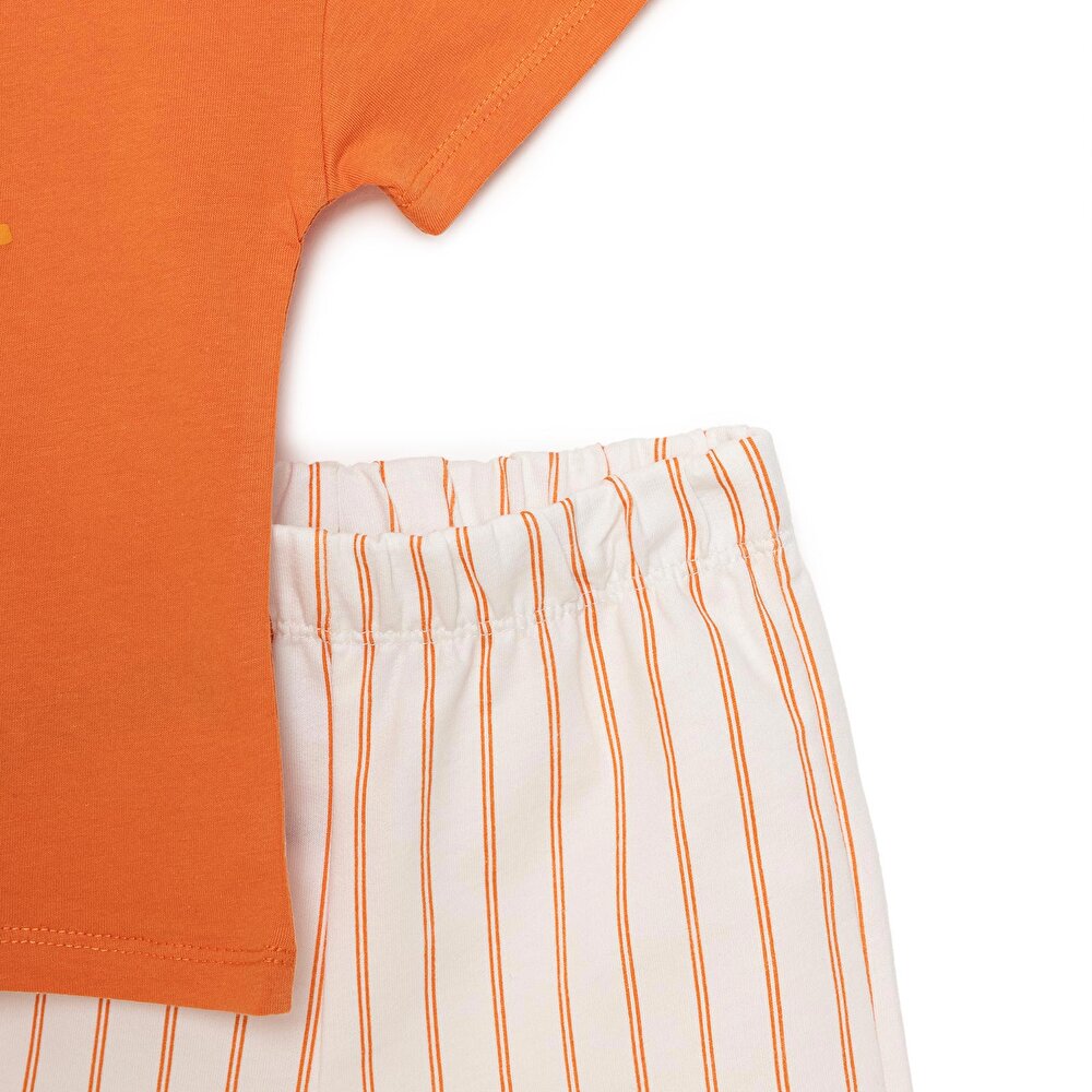 Motto Boy Erkek Tshirt-Şort Erkek Bebek