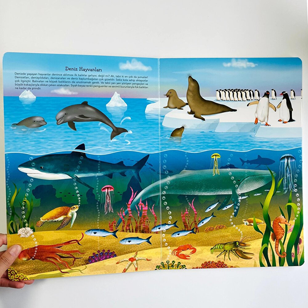 Ne Sorsan Bilir Minik - İlk Büyük Hayvanlar Kitabım