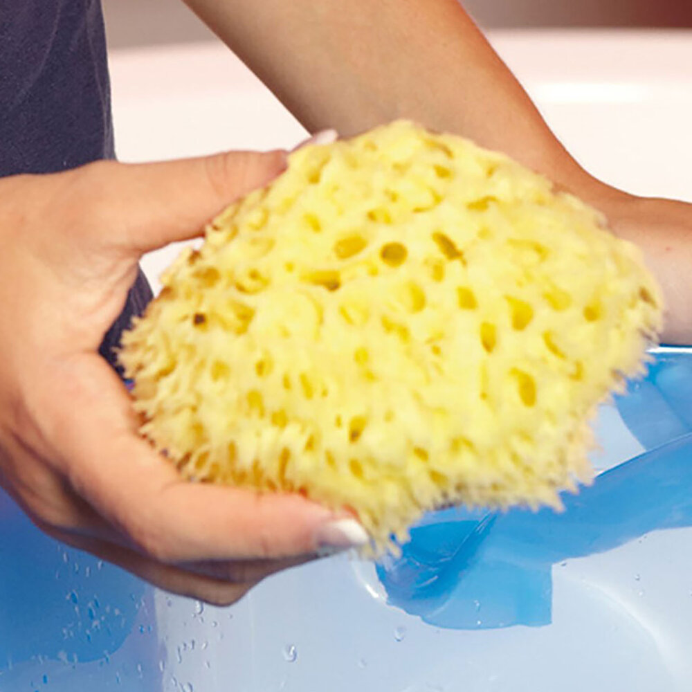Doğal Banyo Süngeri Nr.10
