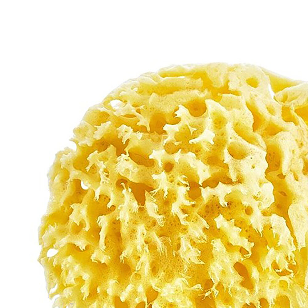 Doğal Banyo Süngeri Nr.10