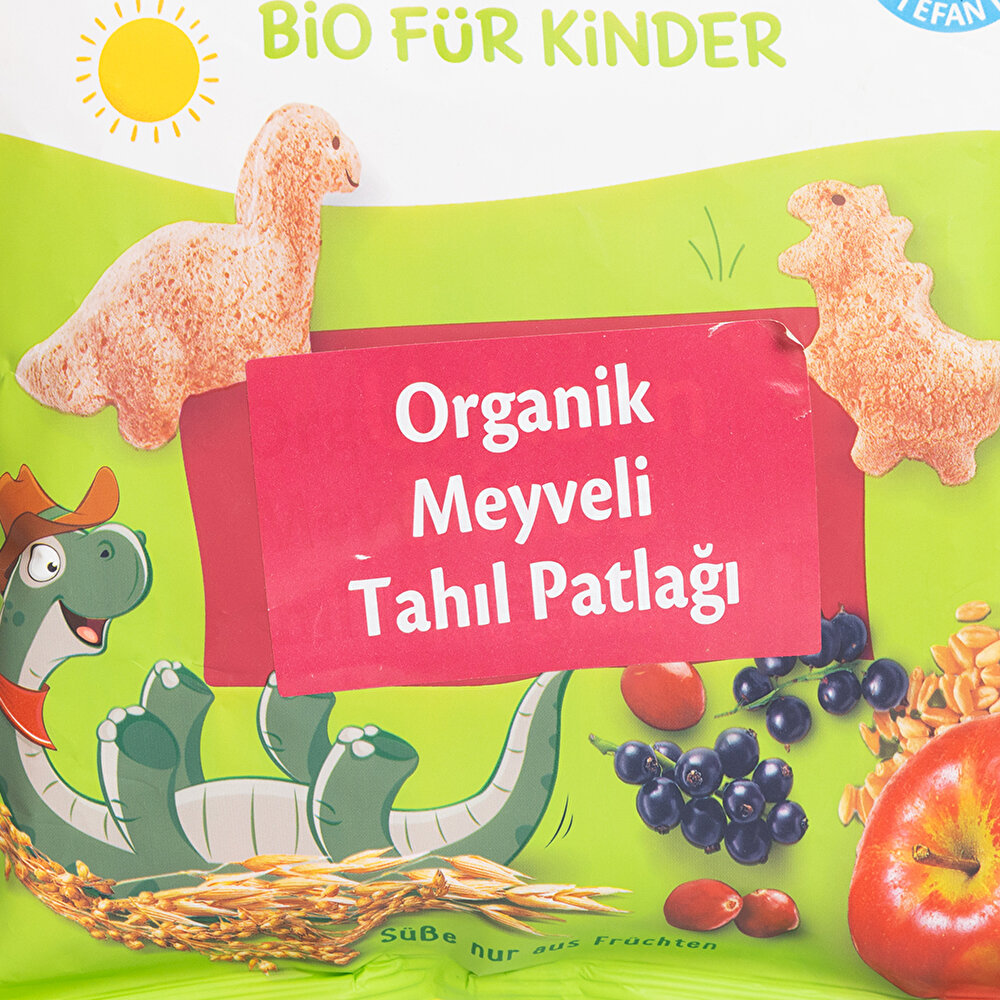Organik Meyveli Tahıl Patlağı