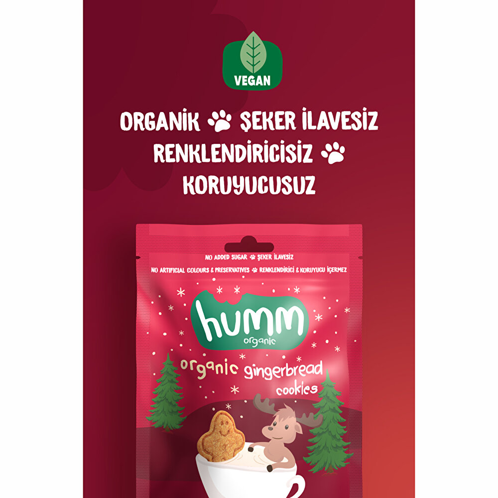 Organik Vegan Zencefilli ve Tarçınlı Kurabiye 55 gr