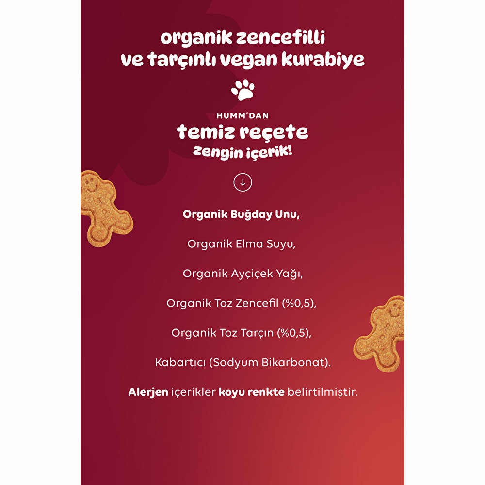 Organik Vegan Zencefilli ve Tarçınlı Kurabiye 55 gr