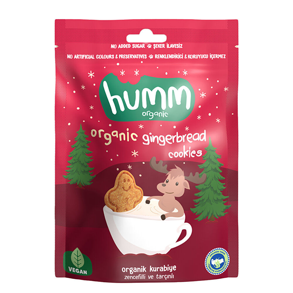 Organik Vegan Zencefilli ve Tarçınlı Kurabiye 55 gr