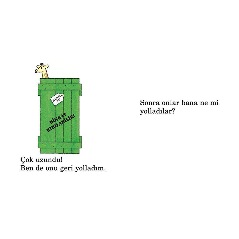 Paketiniz Var-Kapakçıklı Kitap