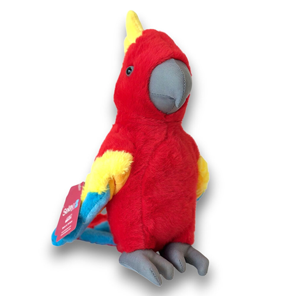 Papağan 30 Cm