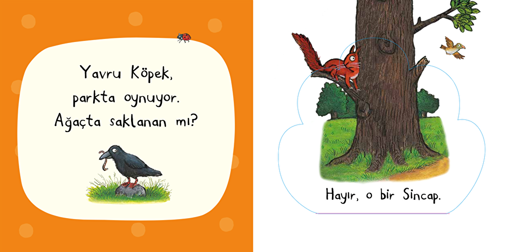 Parkta Kim Saklanıyor? (Keçe Kapaklı Kitap)