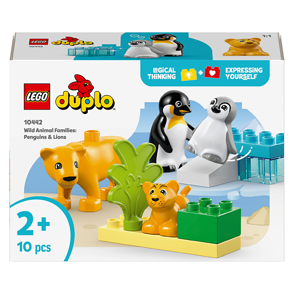 Penguen ve Aslanlar 10442