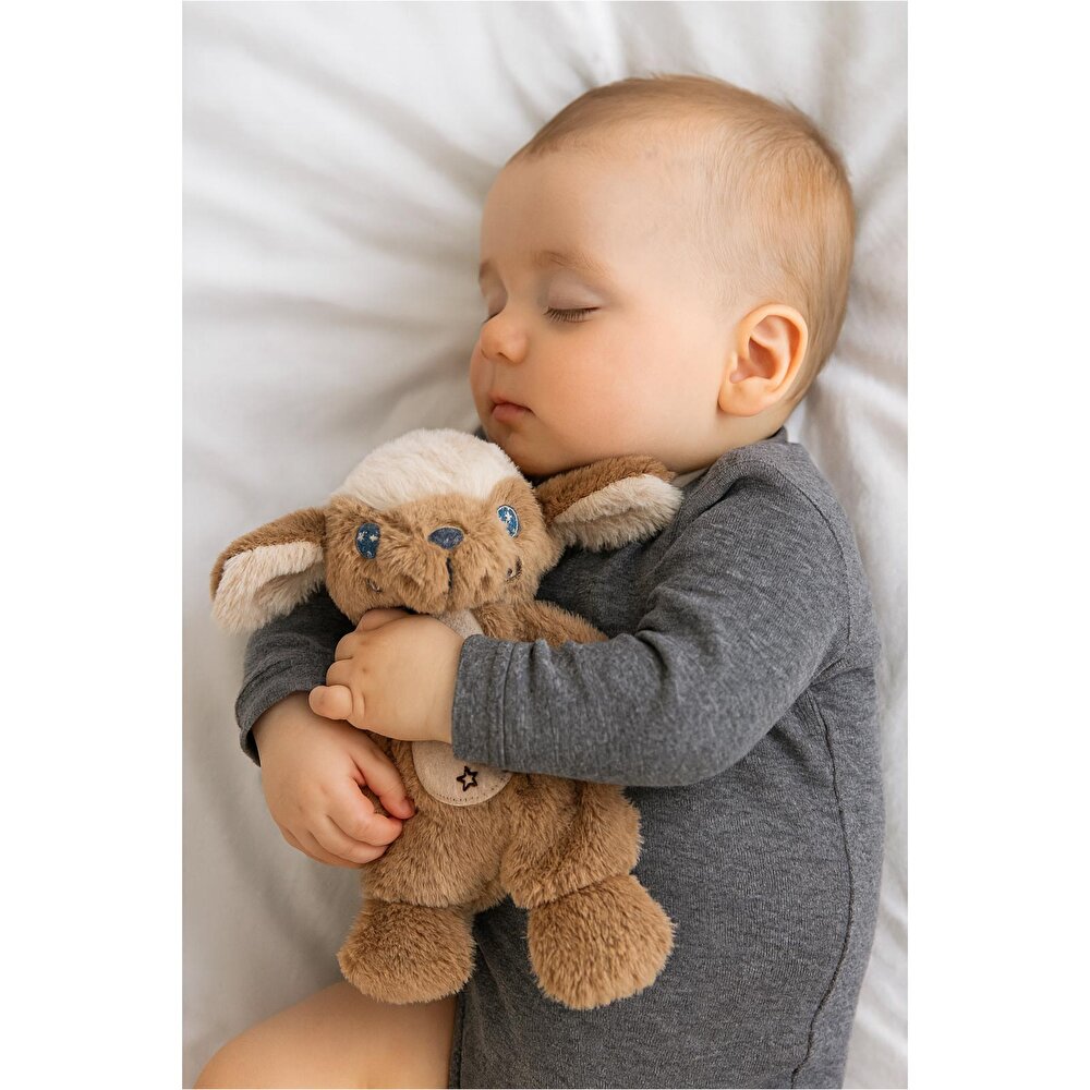 Rahatlatıcı Uyku Arkadaşım Köpek