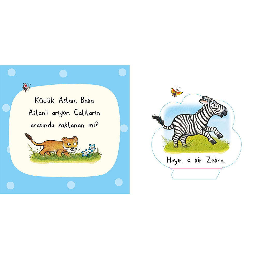 Safaride Kim Saklanıyor? (Keçe Kapaklı Kitap)