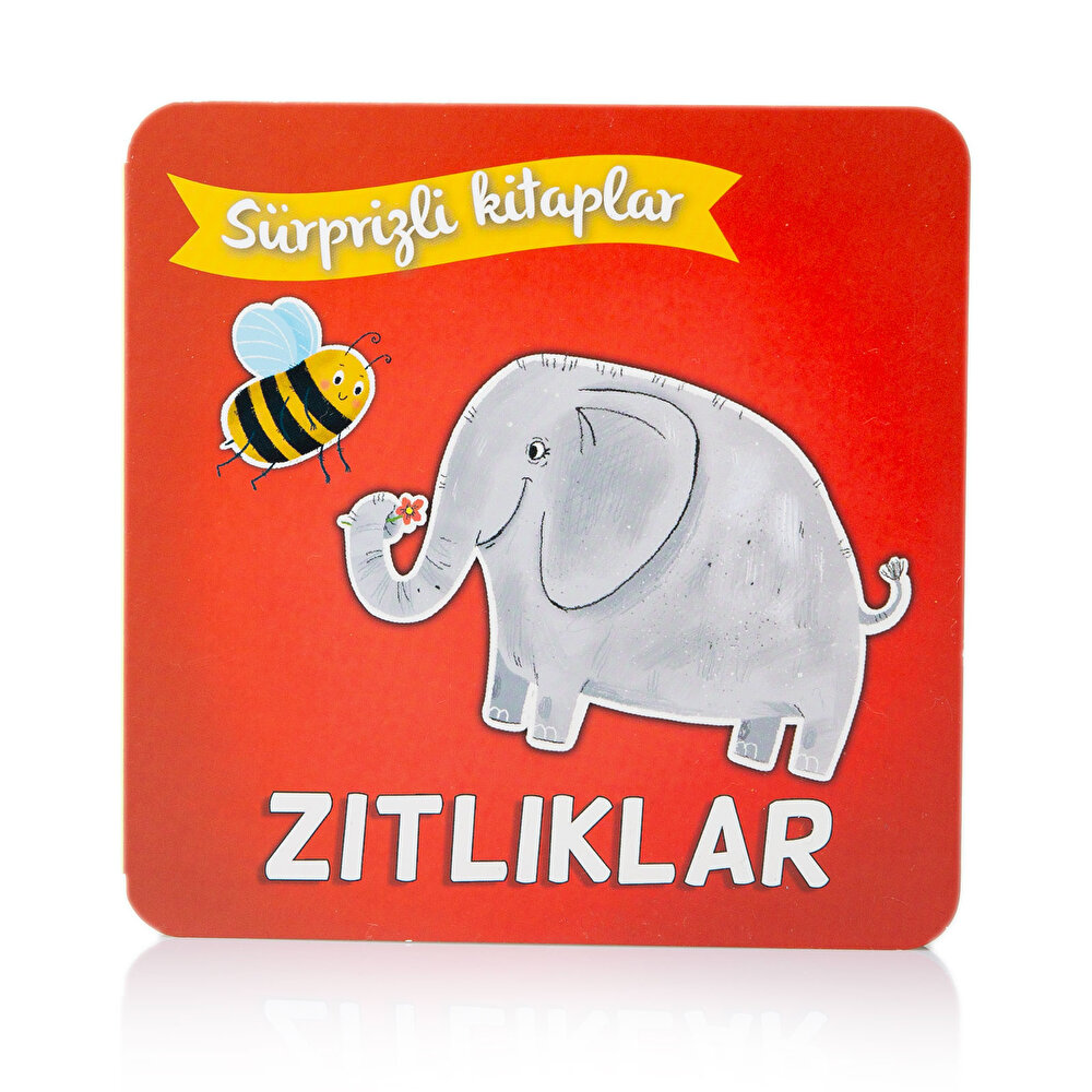 Sürprizli Kitaplar Zıtlıklar