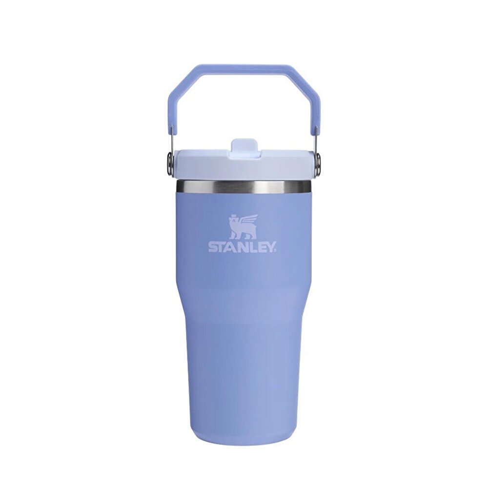 The IceFlow Açılır Pipetli Termos Matara 600ml Hydrangea