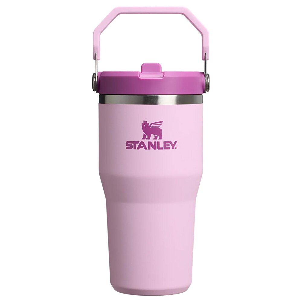 The IceFlow Açılır Pipeyli Termos Matara 600ml Cherry Blossom