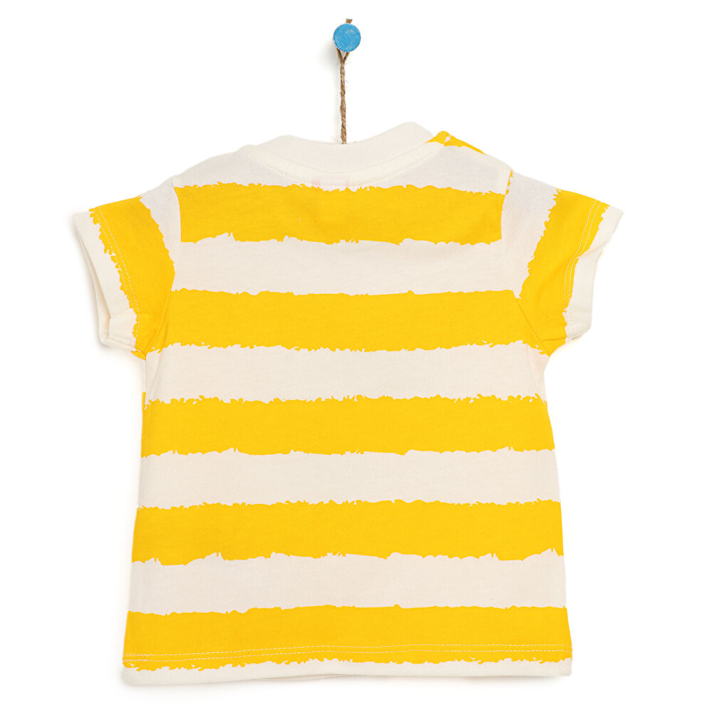 Tshirt Erkek Bebek