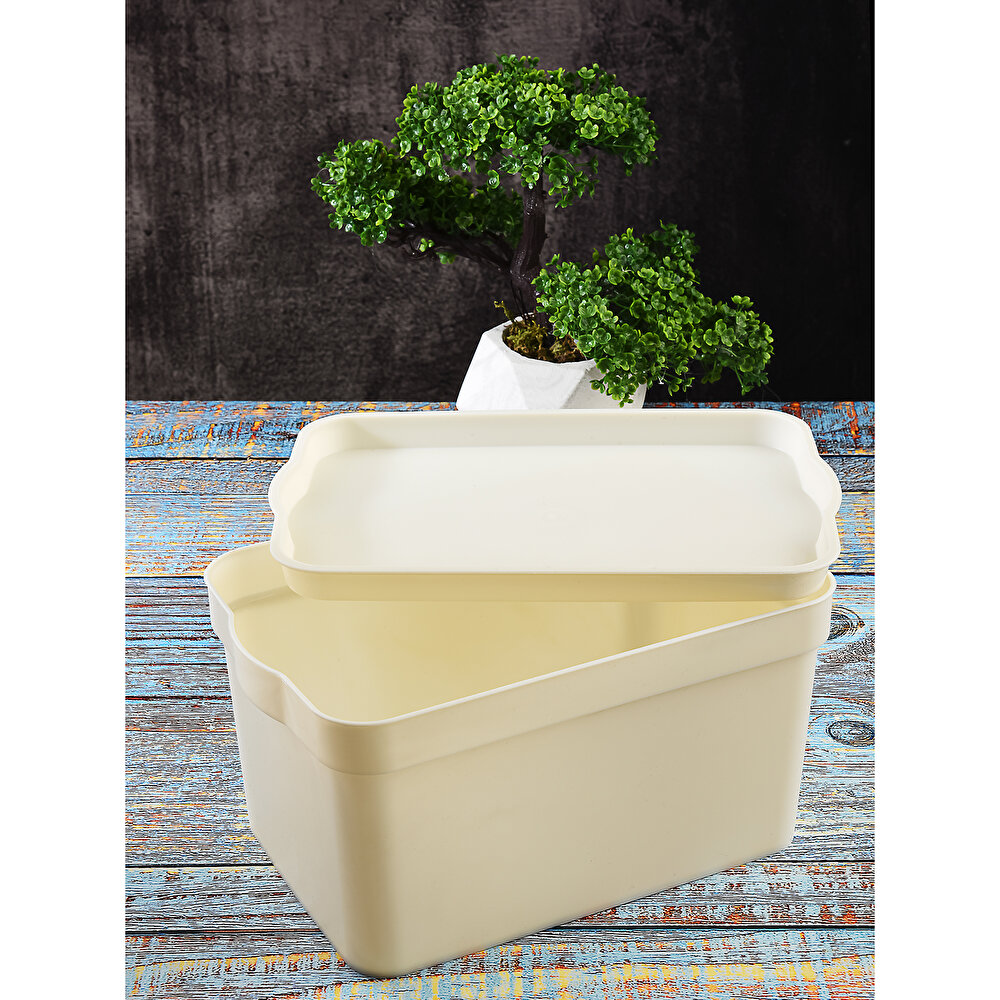 No:1 Keep Box Saklama Kutusu 2.3 lt