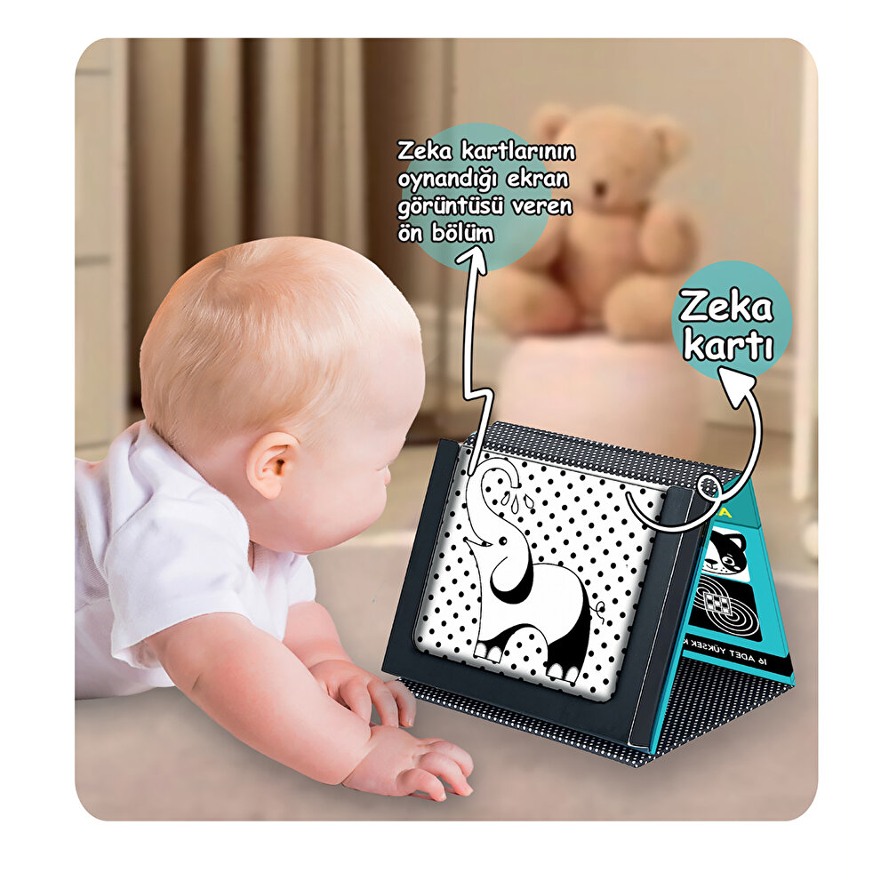 Tummy Tıme Zeka Kartları Güvenli Bebek A