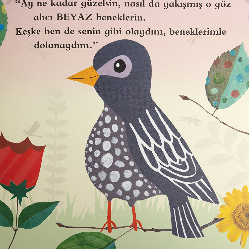 Uğur Böceği Uç Uç Lusi