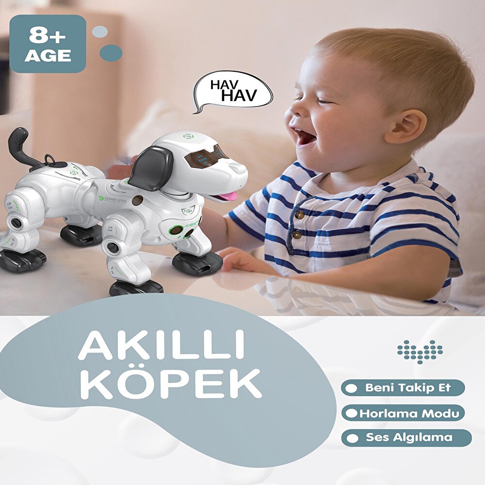 UK Işıklı ve Sesli Akıllı Robot