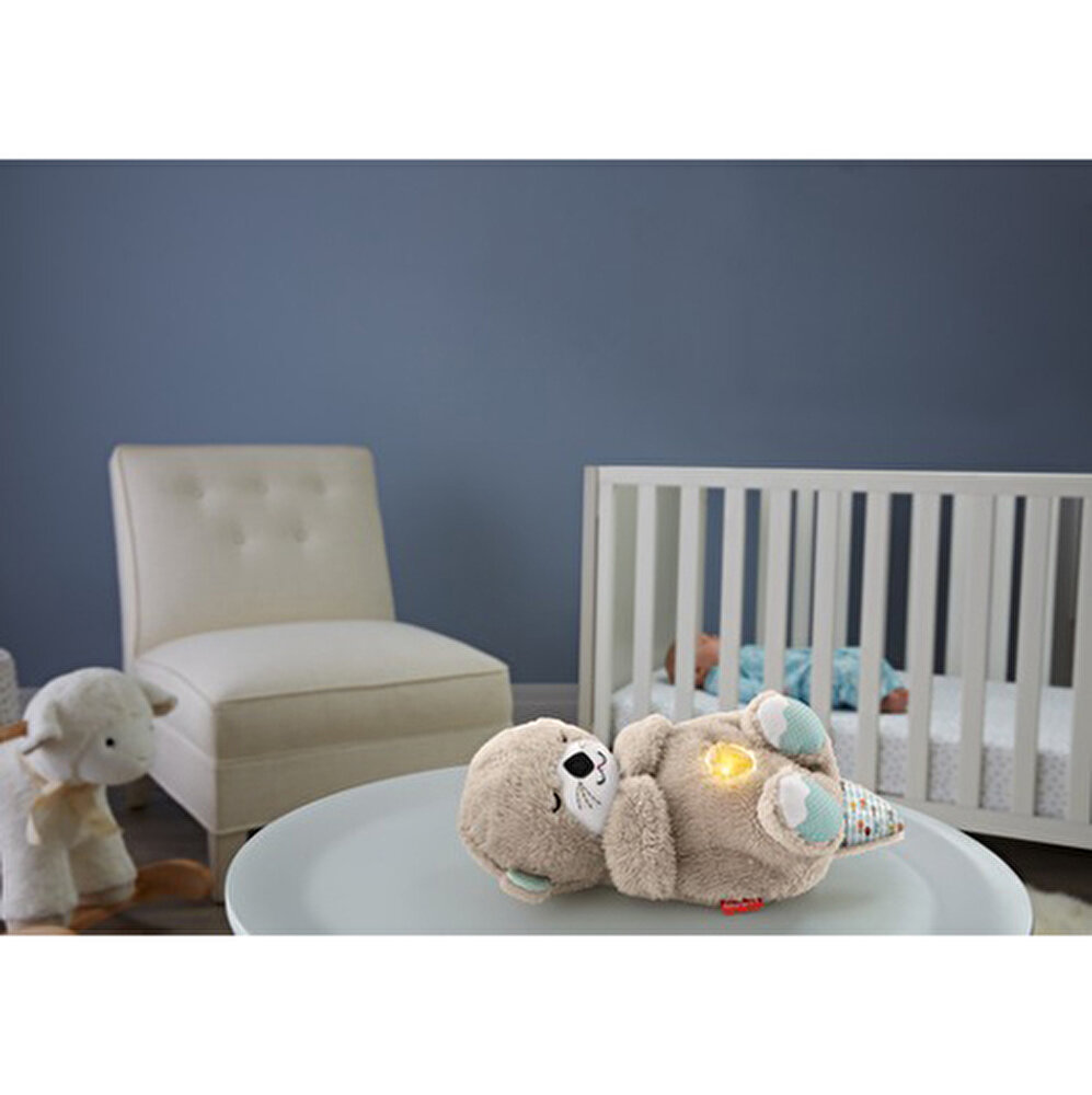 Fisher Price Uyku Arkadaşı Su Samuru