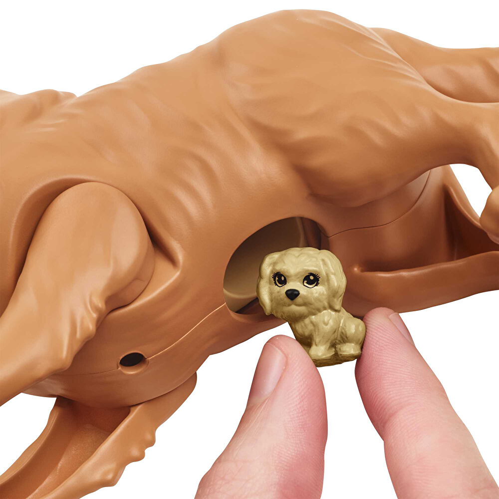 Yeni Doğan Köpekler Oyun Seti HCK75