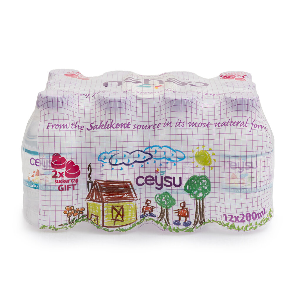 Doğal Kaynak Suyu 12x200 ml