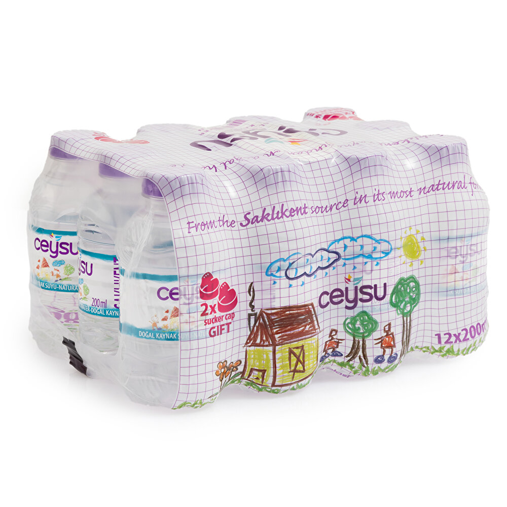 Doğal Kaynak Suyu 12x200 ml