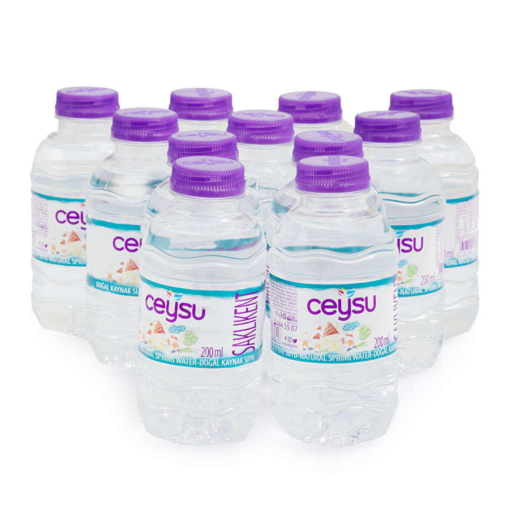 Doğal Kaynak Suyu 12x200 ml