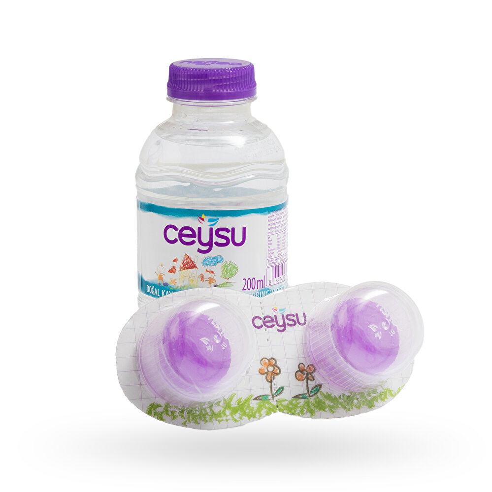 Doğal Kaynak Suyu 12x200 ml