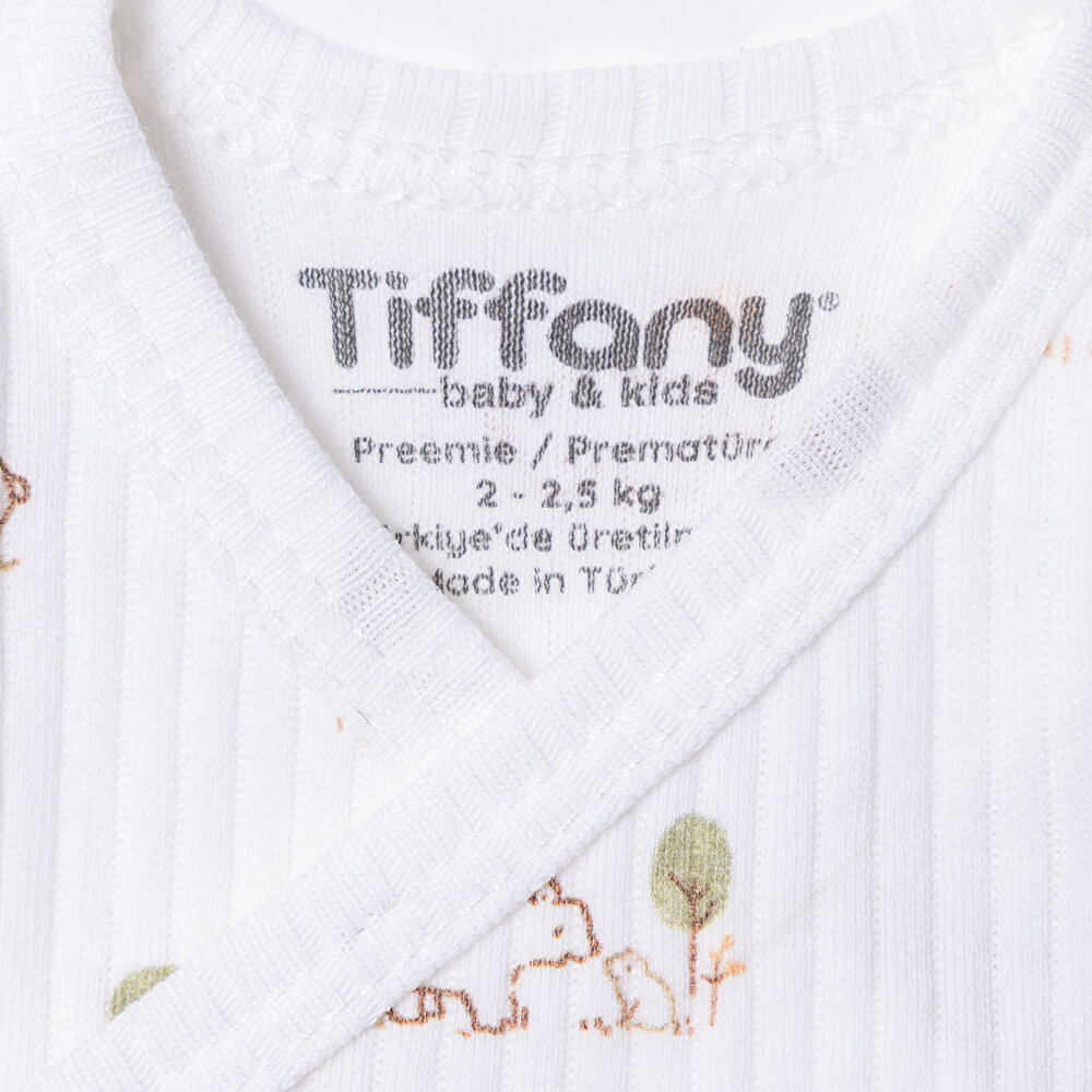 Yenidoğan Erkek Ayıcık Desenli Prematüre Set Erkek Bebek