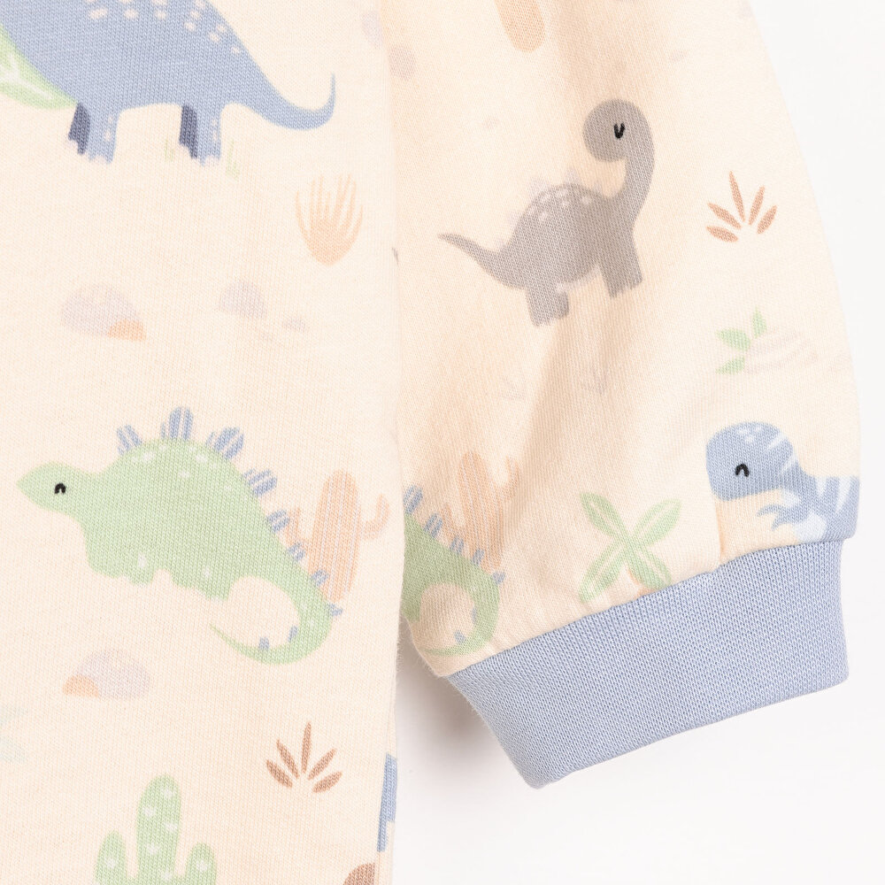 Yenidoğan Erkek Kapüşonlu Tulum Erkek Bebek