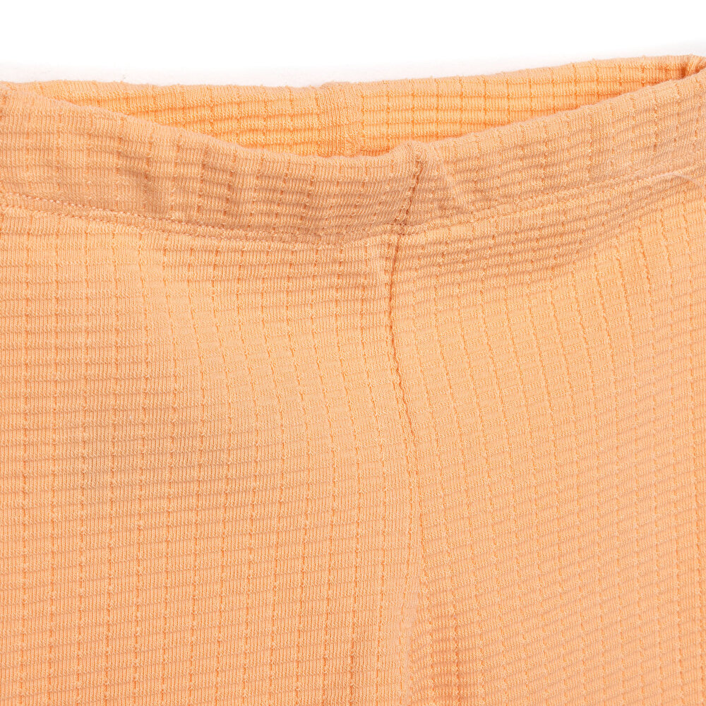 Yenidoğan House Of Birds Kız Sweatshirt-Patiksiz Alt Kız Bebek