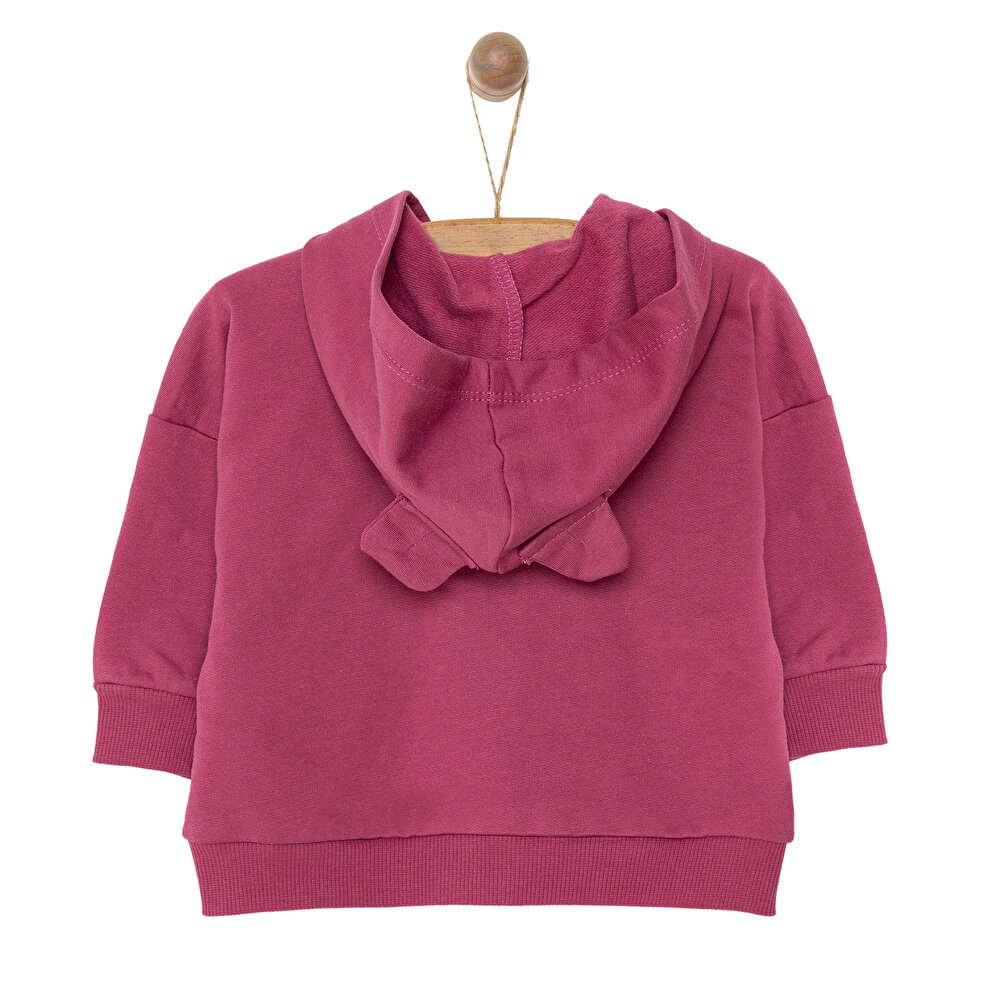 Yenidoğan Kız Hırka Kız Bebek