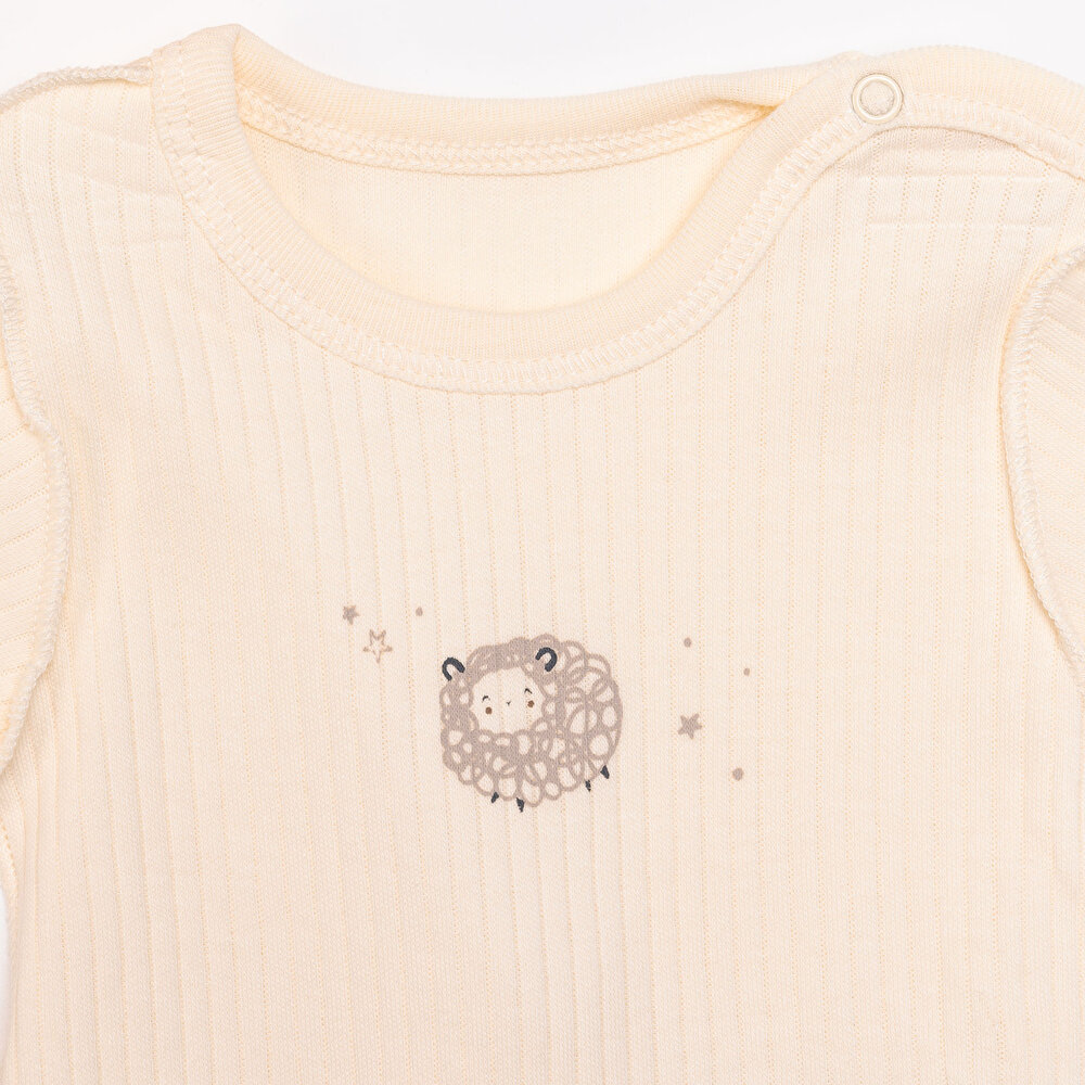 Yenidoğan Organic Little Lamb Tulum-Body-Şapka 3lü Set Kız Bebek