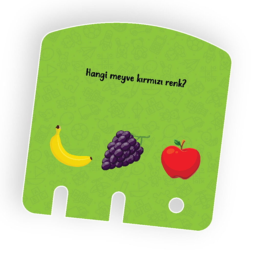 Zeka Kutusu 16-24 Ay