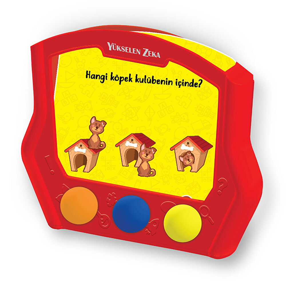 Zeka Kutusu 16-24 Ay