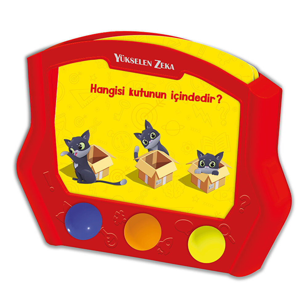 Zeka Kutusu 2-4 Yaş