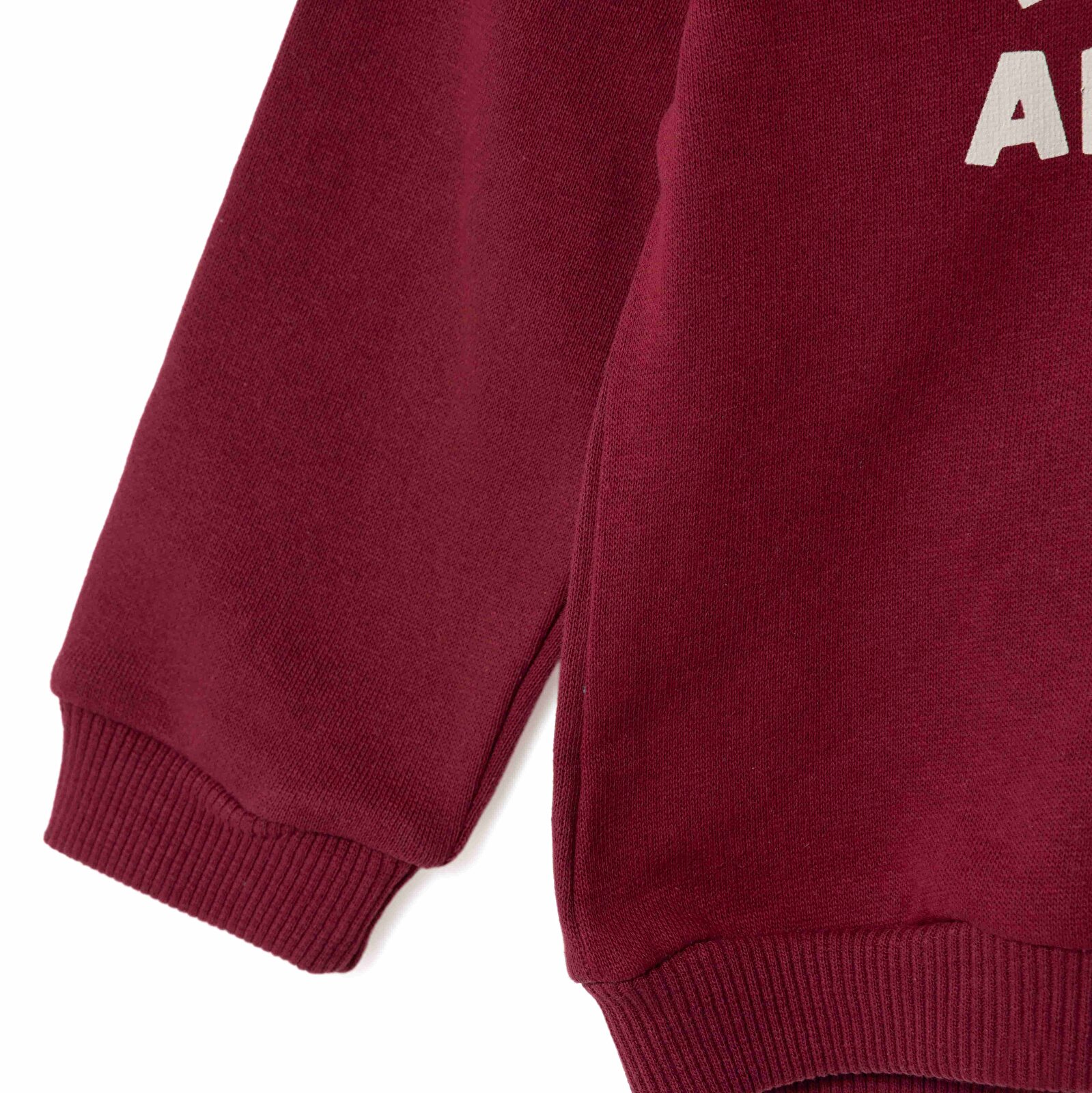 , Kapüşonlu Sweatshirt