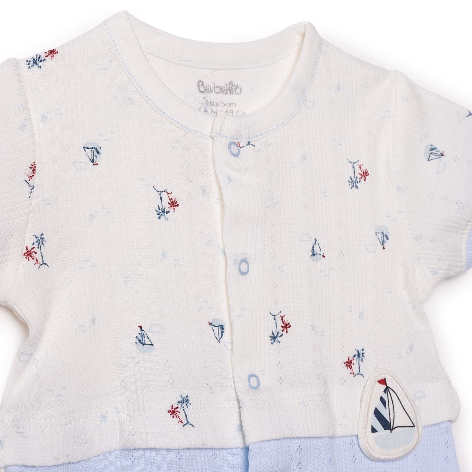 , Yenidoğan, Palm in the Sea, Kıs , Yenidoğan, Palm in the Sea, Kıs