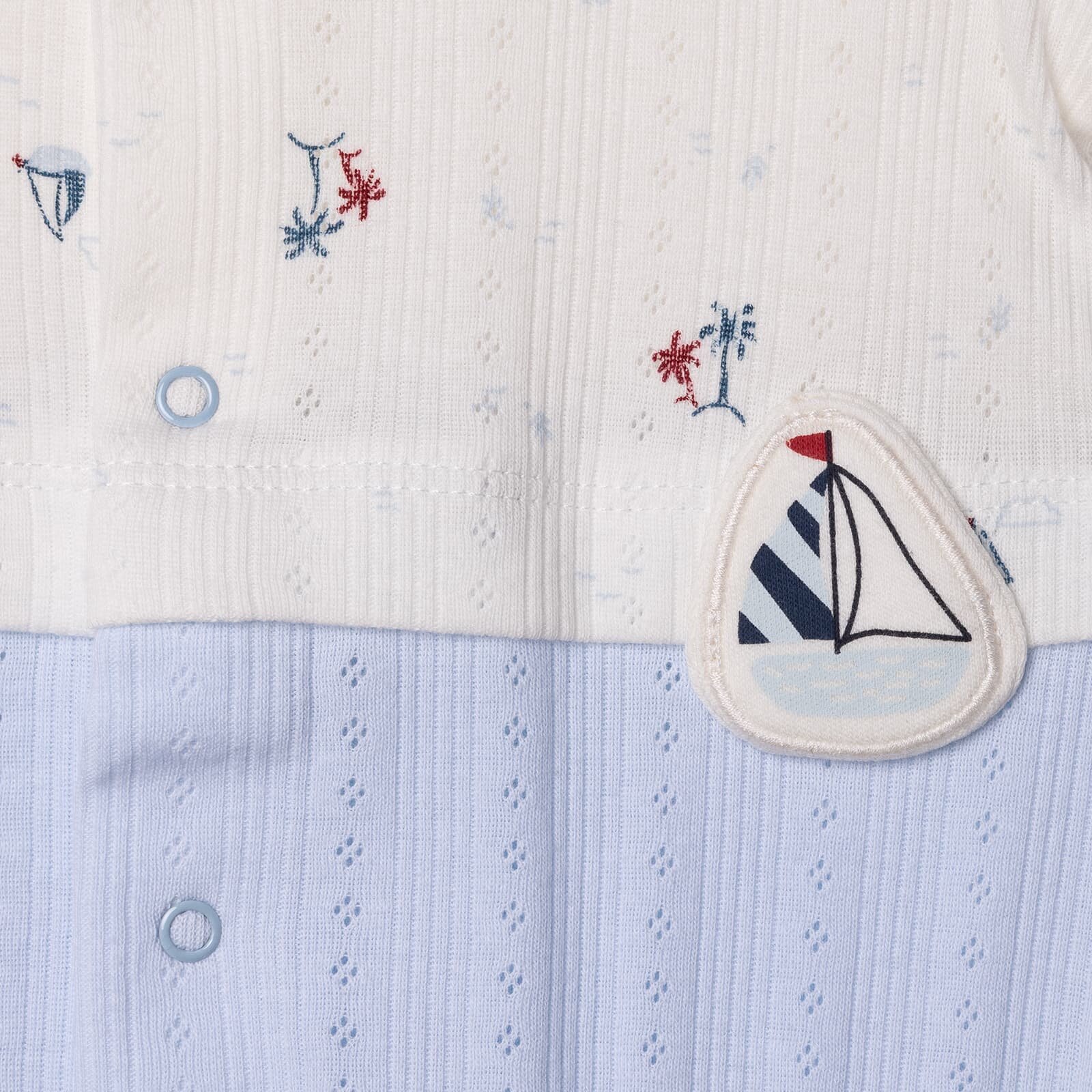 , Yenidoğan, Palm in the Sea, Kıs , Yenidoğan, Palm in the Sea, Kıs