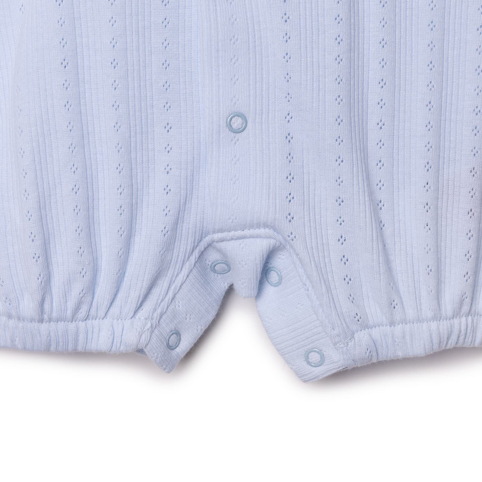 , Yenidoğan, Palm in the Sea, Kıs , Yenidoğan, Palm in the Sea, Kıs