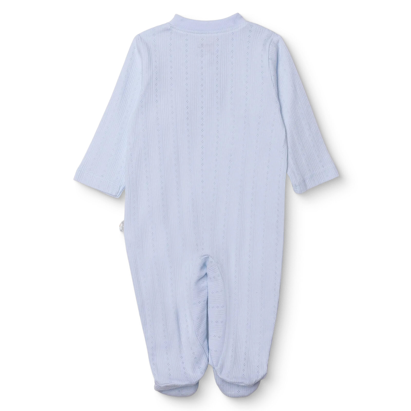 Yenidoğan Palm in the Sea Patikl Yenidoğan Palm in the Sea Patikl