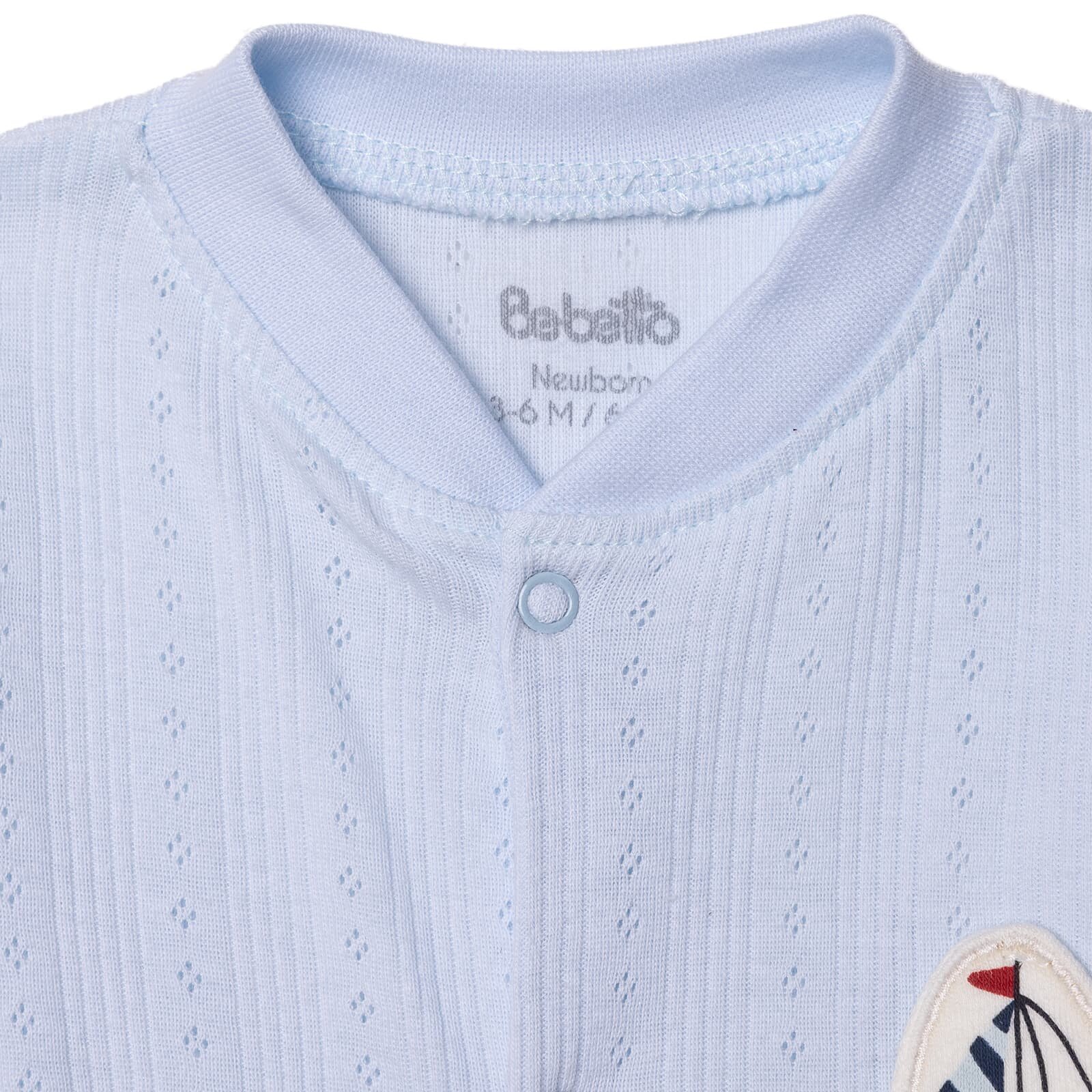 Yenidoğan Palm in the Sea Patikl Yenidoğan Palm in the Sea Patikl