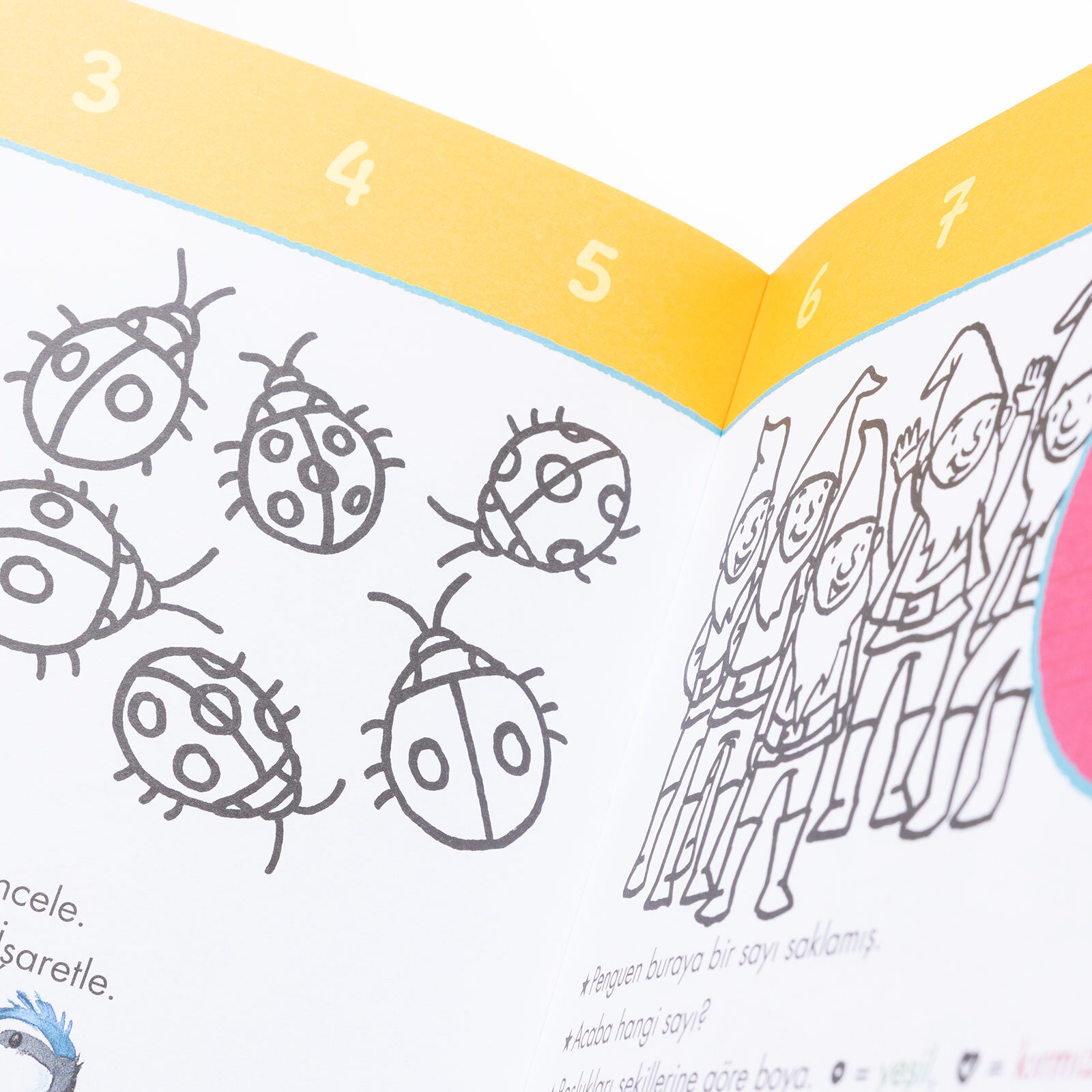 1,2,3 Sayıları Keşfet!