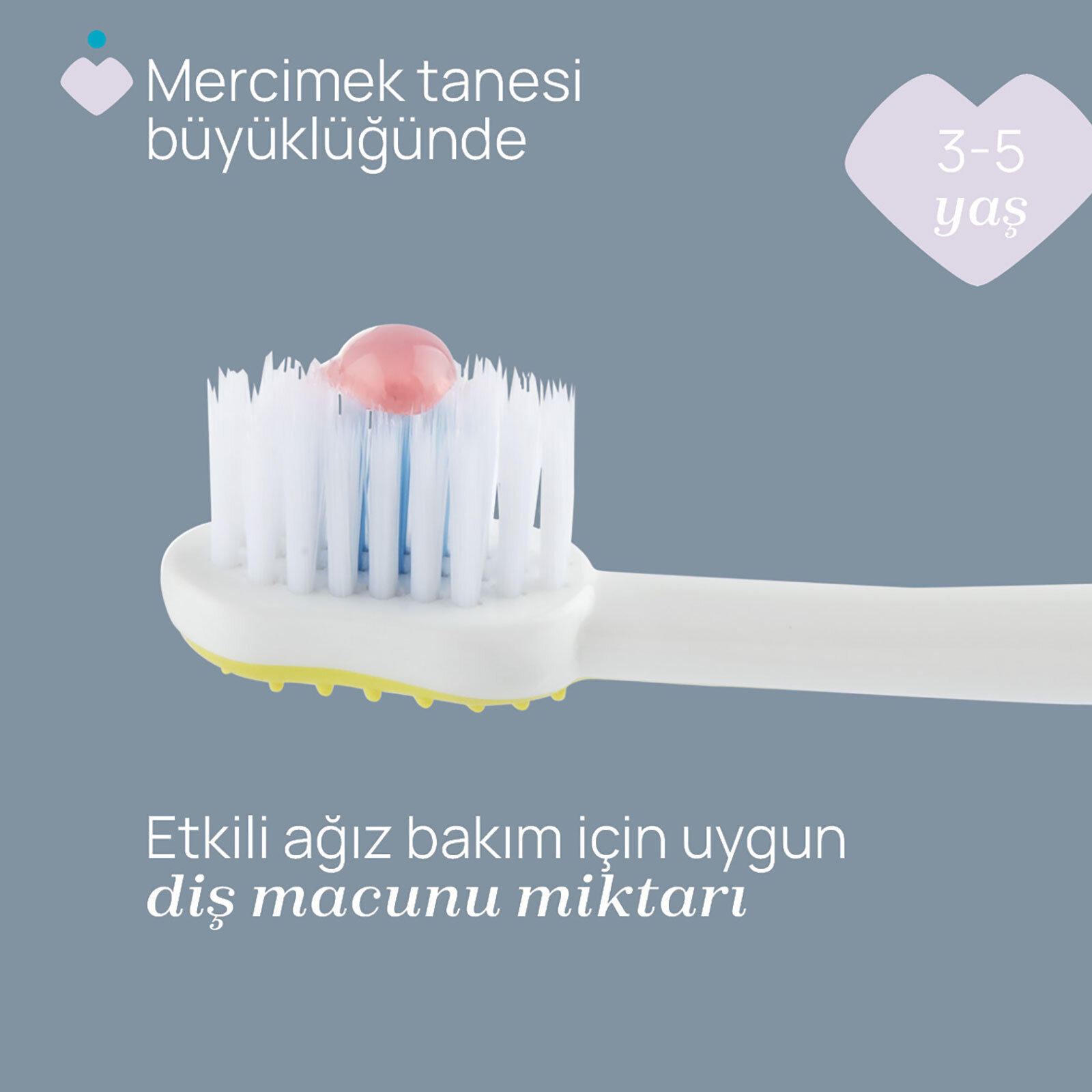 2'Lİ DİŞ FIRÇASI 3-6 YAŞ TIGER-PANDA